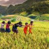 North Vietnam Family Explorer – 8 Days