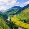 Mountain Trail Tour in Northern Vietnam -12 Days